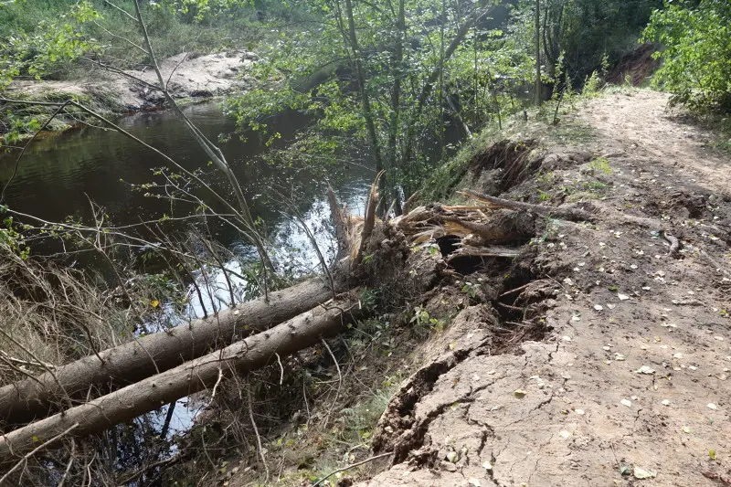 Вот так вот речка повеселилась.