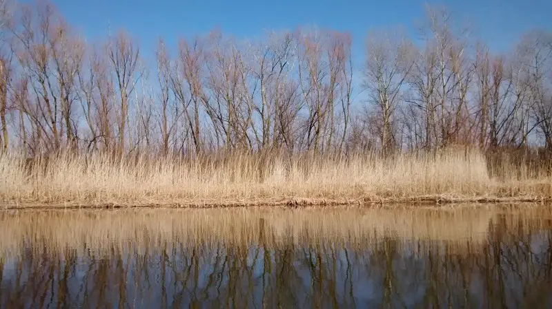 Если в такой день ничего не поймаешь расстраиваться тоже грех :)