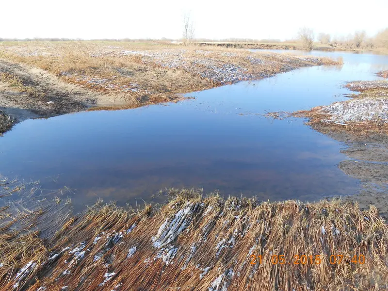 Заливная вода, не снеговая... Плохо... Пора сапоги доставать...