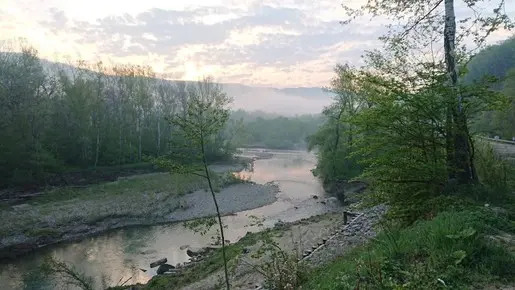 В поисках Голавликов