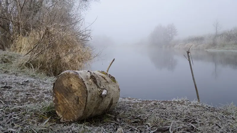 Хоть костёр разводи