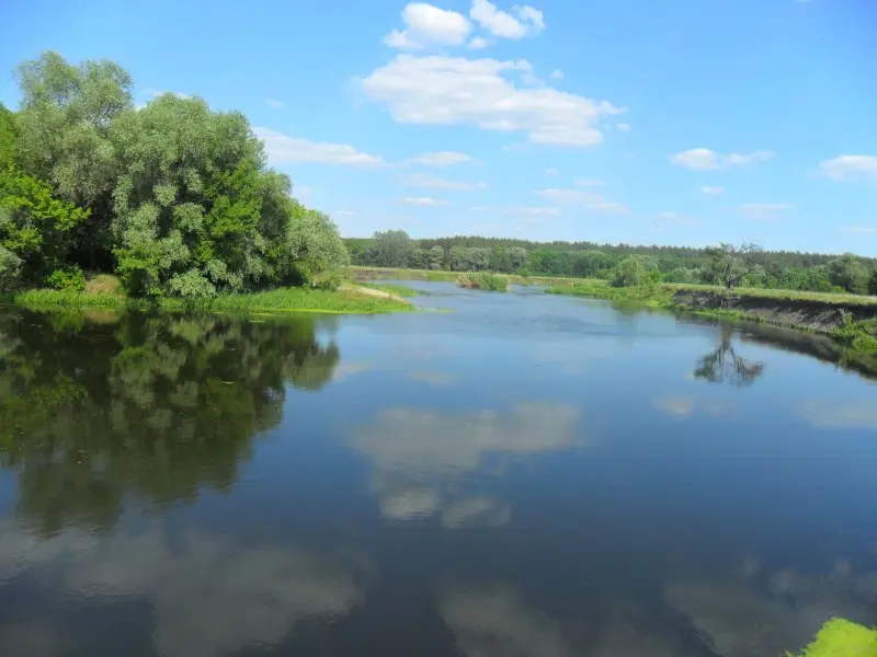 Речка в этих краях просто прекрасна