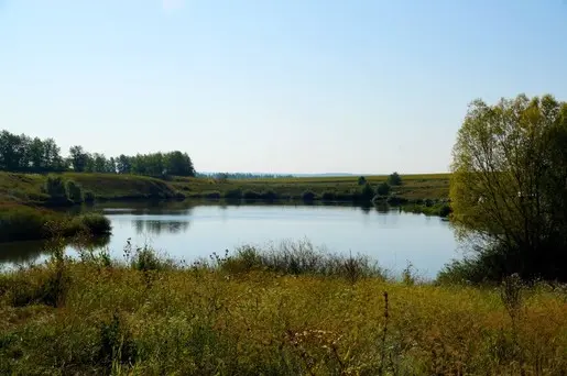 Открытие карпового сезона 2016. Лучше поздно, чем никогда.