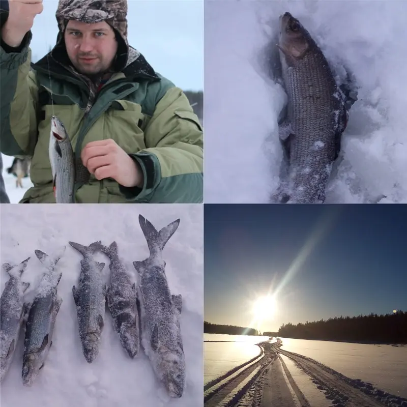 Зимняя рыбалка 2018-2019