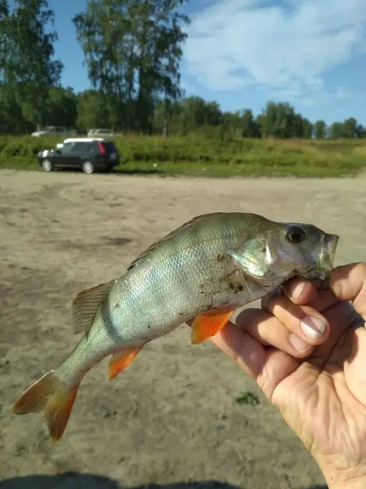 Отлично получился микроджиг. :)