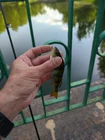 Но вообще-то... (фото #23872)
