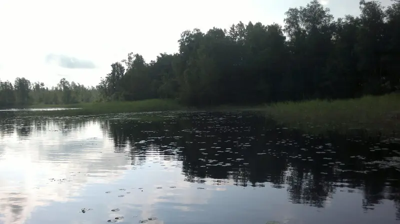 Здесь я гонял свои приманки