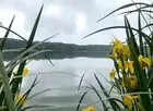 На большой воде