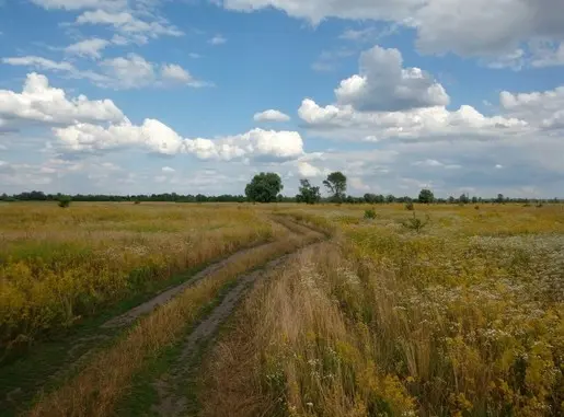 Дорога к счастью...