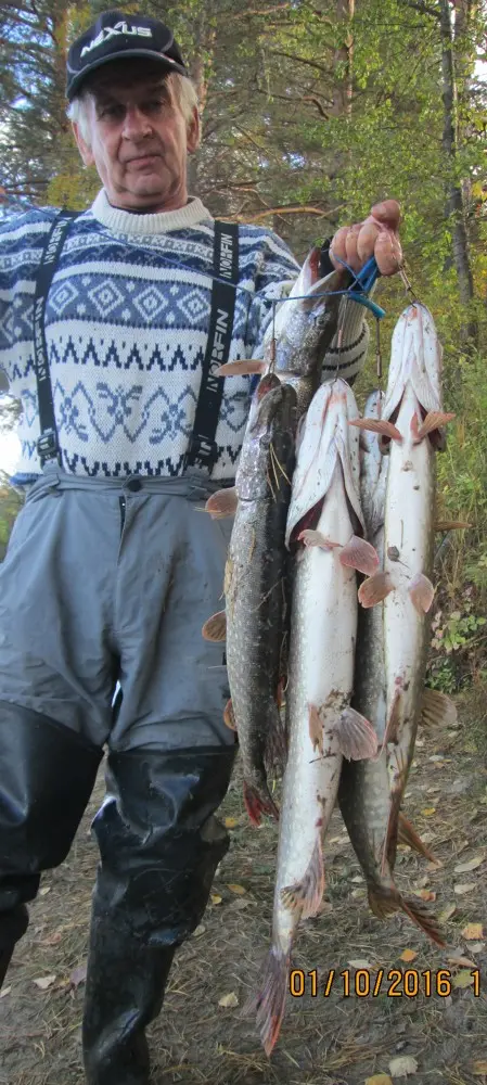 Фото о рыбалке №53096