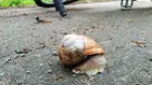 Ломанулся сегодня на... (фото #13877)