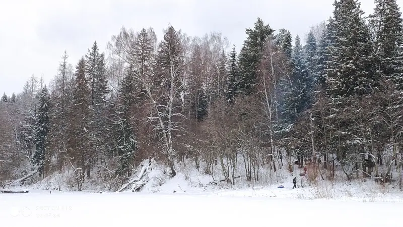 На заветном пруду никого. Только две семьи с детьми устроили пикник)