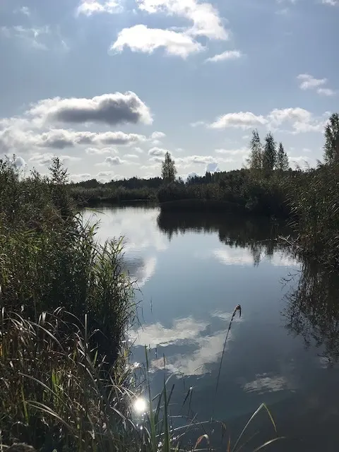 Водичка чистая.