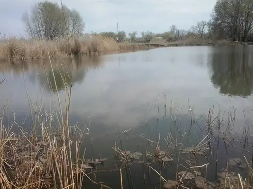 Делай добро и бросай его в воду