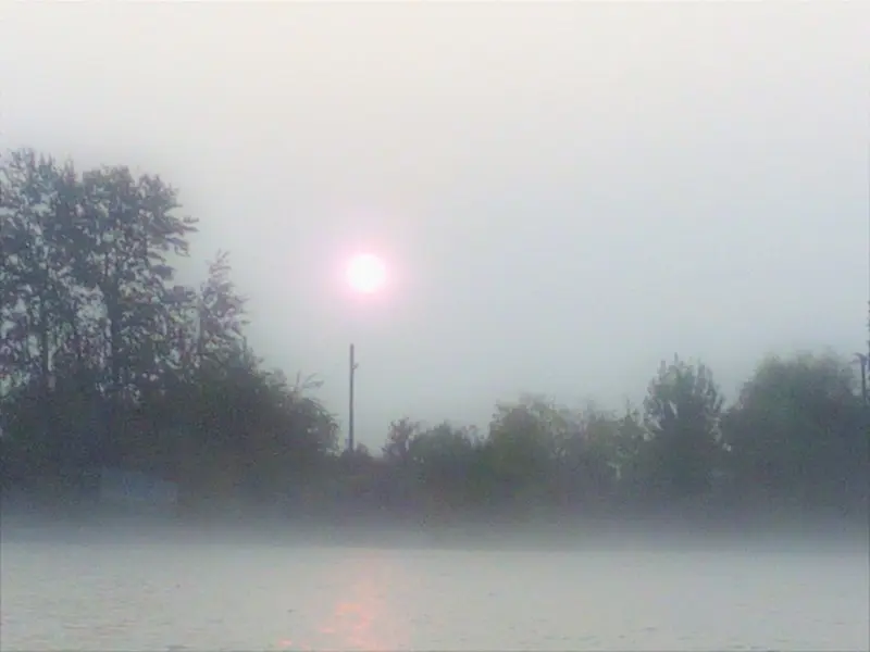 Солнце сквозь туман...