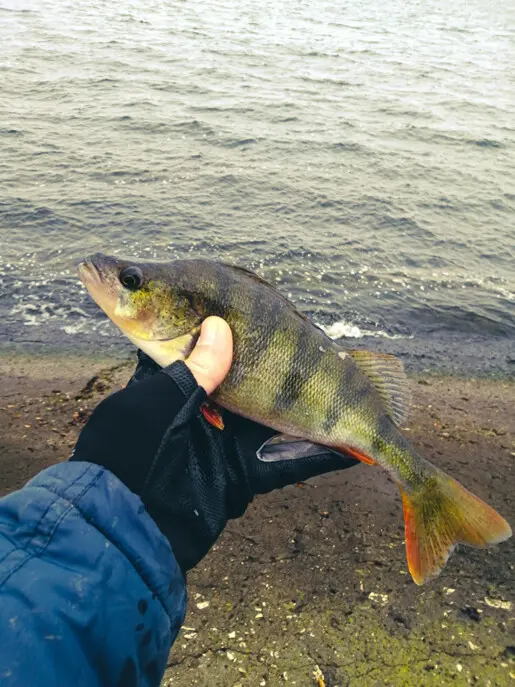 Пока вода ещё жидкая