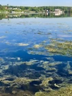 На Пехорке очередной... (фото #25483)