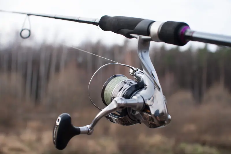 Я ставил Shimano Rarenium '12 С3000 и Ultegra '05 2500S. В первом случае центр тяжести на уровне...