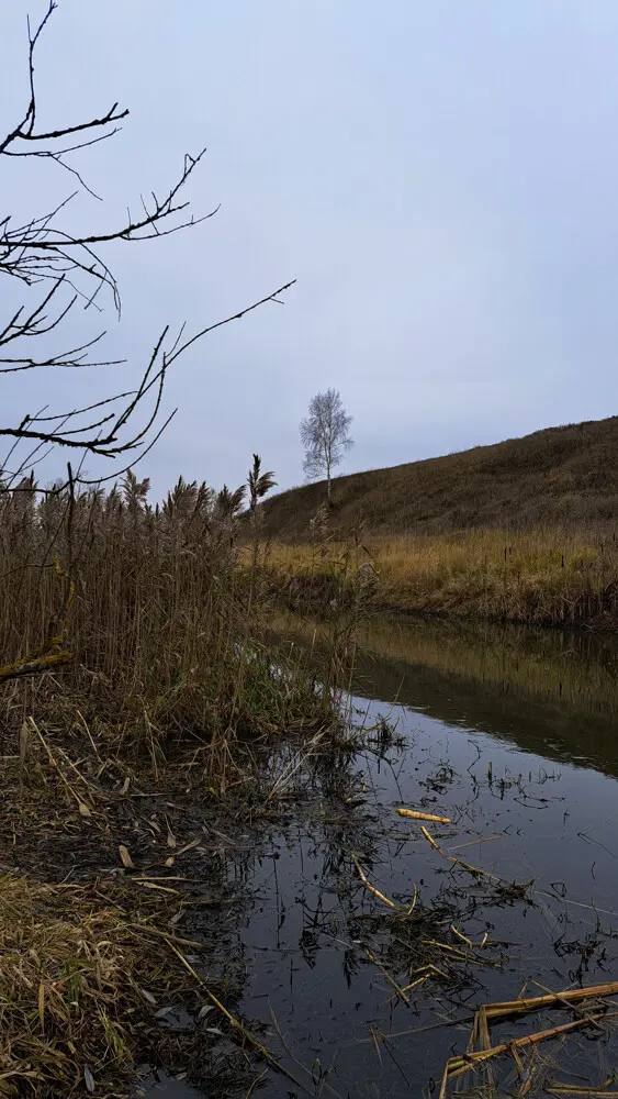 Осеннее природы увяданье