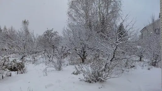 Будет ли еще рыбалка по открытой воде в этом сезоне???