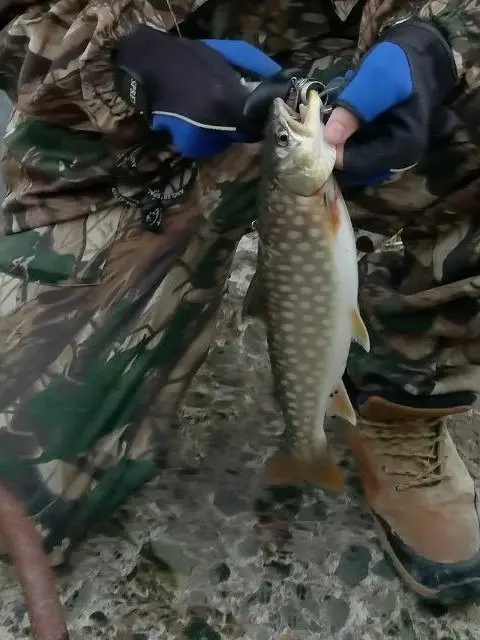 Одна из последних рыб пойманных на «трофейный» Х — 120