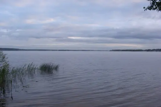 Открытие сезона по ловле на спиннинг с берега, город Шатура