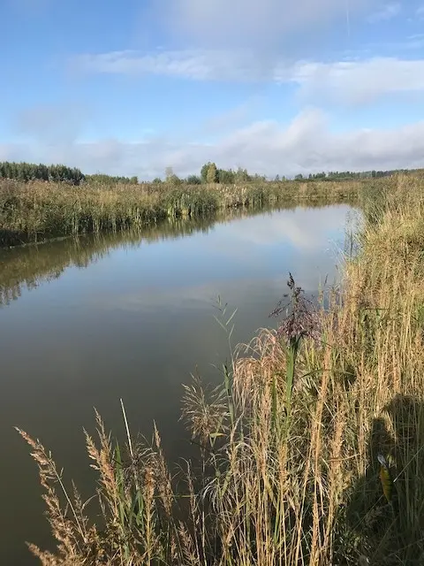 Но вода чёт мутновата... Какой-то оттеночек не приятный. Пофигу. Ловим.