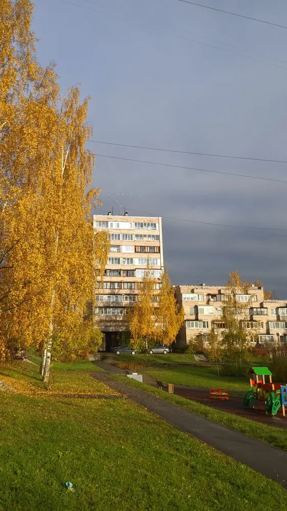 Типа записки рыболова на диване. Без удочки, но с градусником. Наполовину уже состоящего из...