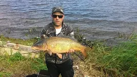 sportcarp