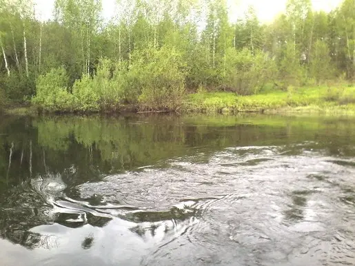 14 июня. Вода всё ещё большая.