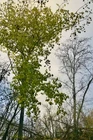Вода за неделю остыла... (фото #26651)