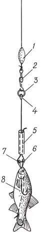 Рис. 3. Снасточка для ловли окуня со дна: 1 — скользящее грузило-оливка весом от 10 до 30 г на...