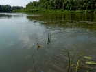 Вчера денёк был... (фото #25602)