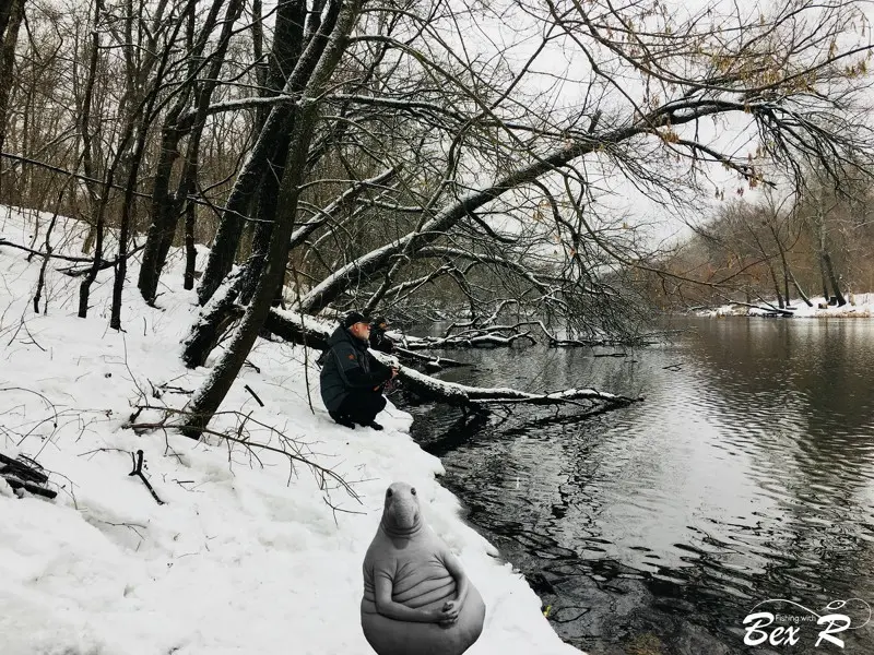 Издеваются, гады, пока медитируешь :D