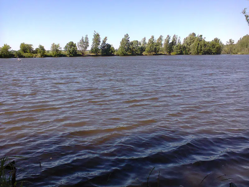 Очень ветрено,клев плохой.