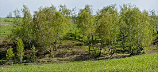 Окрестности Новосибирска