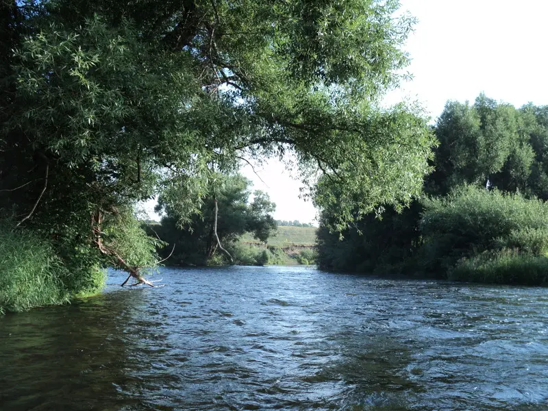 Река Мокрая Табола