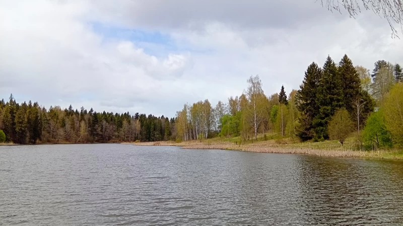 Левый берег Вори.