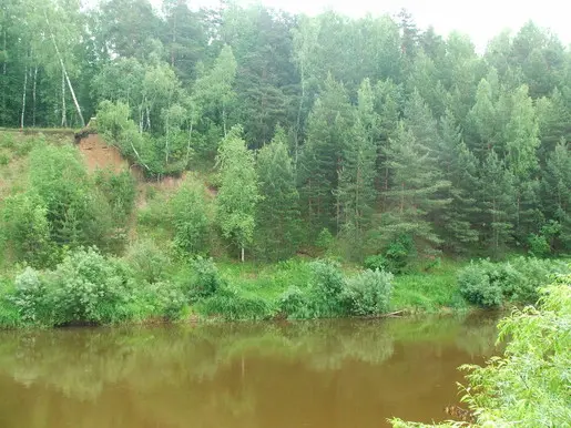 Река Жиздра напротив места нашей стоянки.