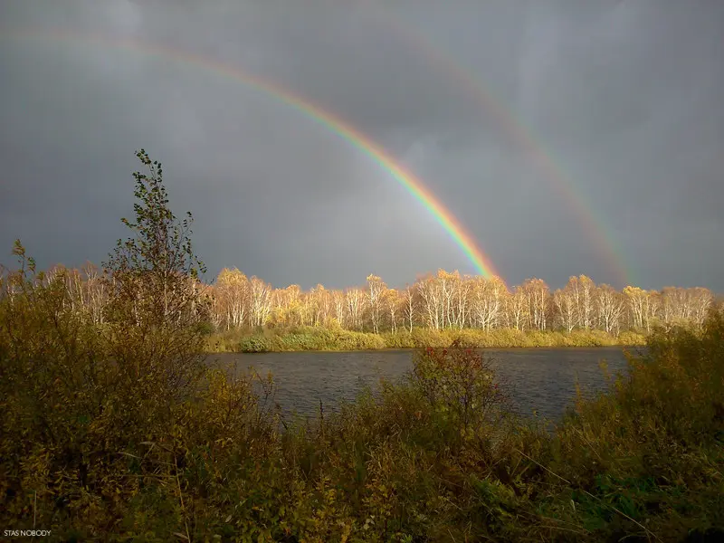 Шикарный момент