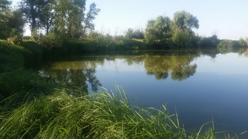 Зеленоватая вода — не к добру.