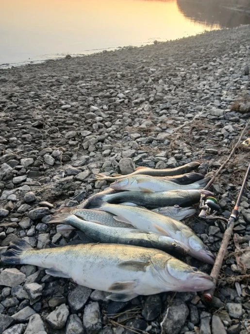 Жазғы қыздар порнографияны шешеді