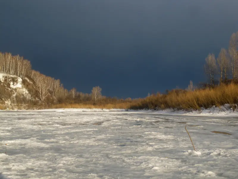 Превратности природы