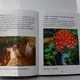 Книга- фотоальбом «Рыбалка на хариуса»