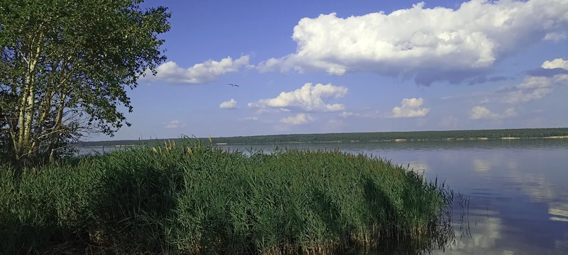 А вот сюда и и рвались из города, всю дорогу гадая, будет полянка занята туристами или нет...