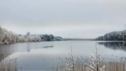 Последний лёд, ловля на мормышку в отвес с лодки с помощью...