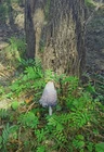 Одиночество