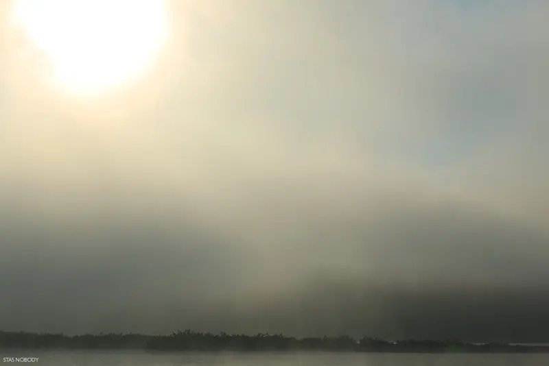 Солнце прорезает туман