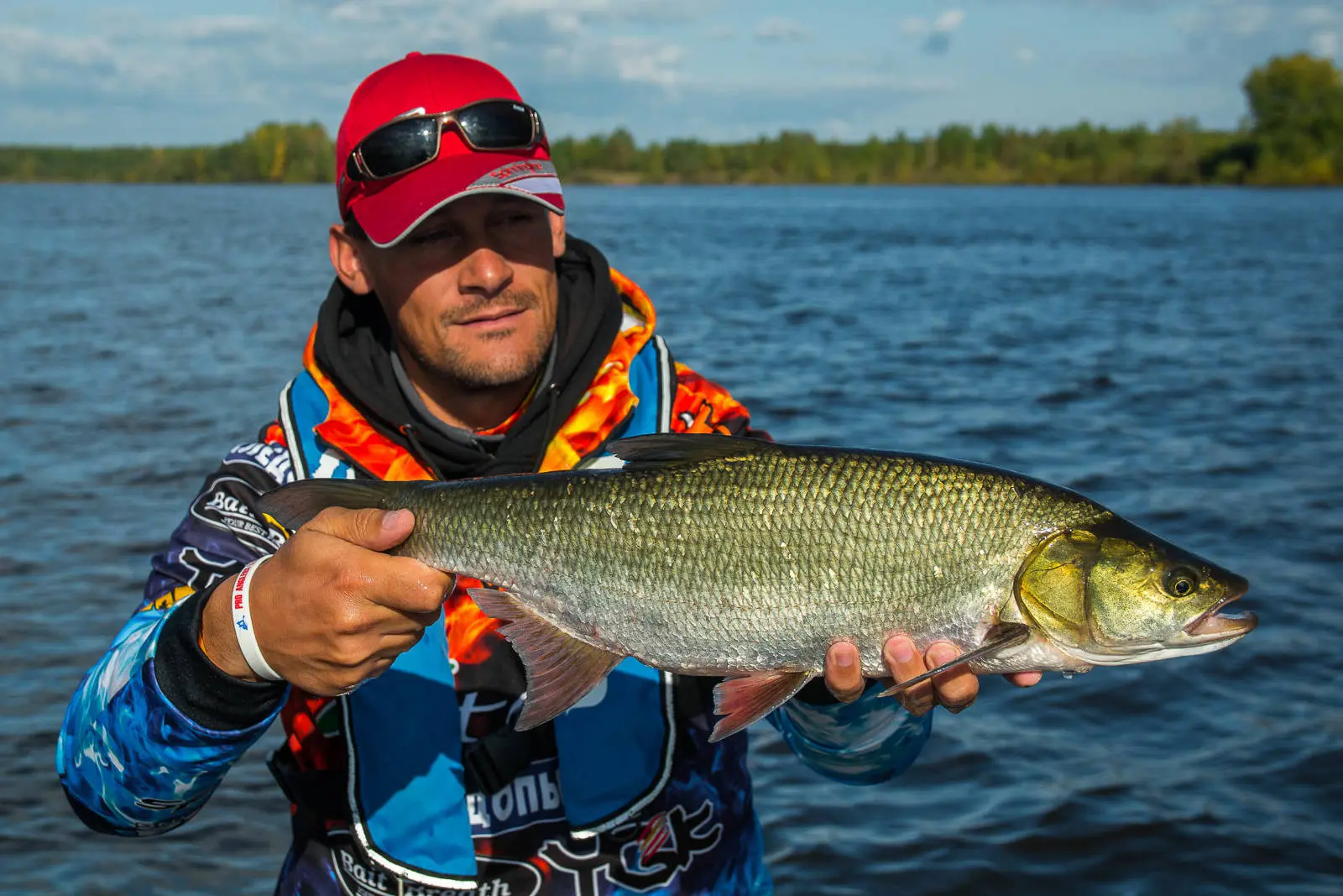 Fish came. Река Кама рыбы. Рыбы реки Камы. Камская рыба. Хищная рыба в Каме.