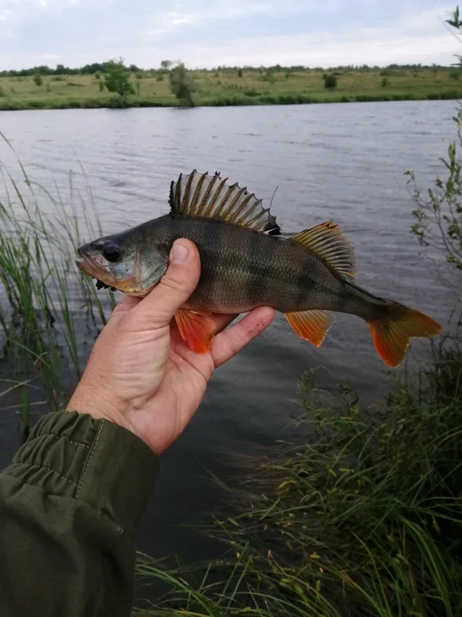 Вояж по водоёмам